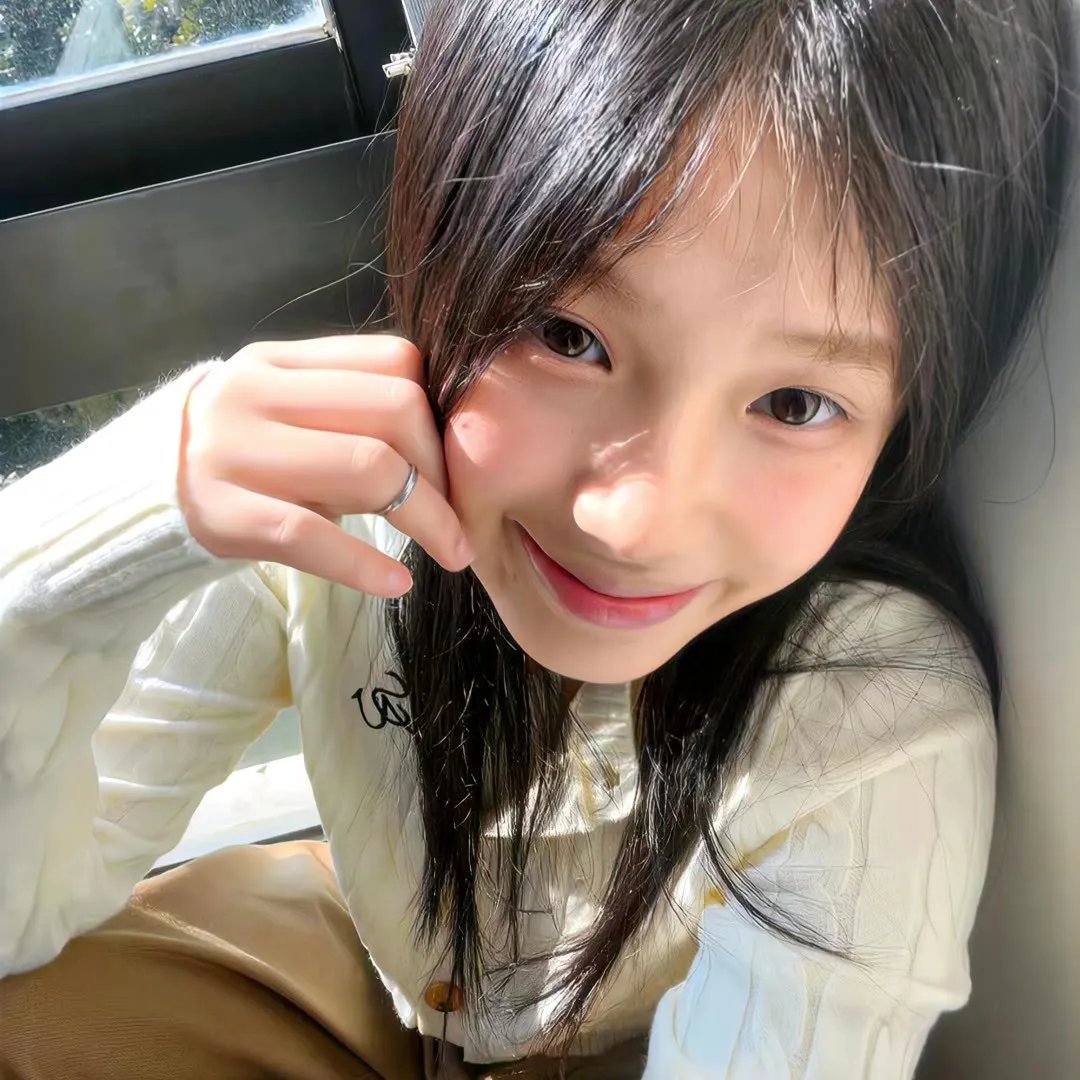 漂亮的塞尔吉海报